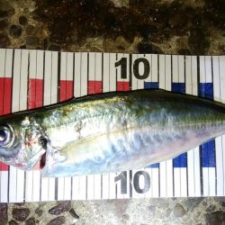 流れの中を漂わせて